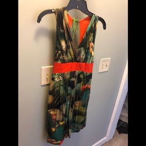 Eva Franco dress from Anthropology